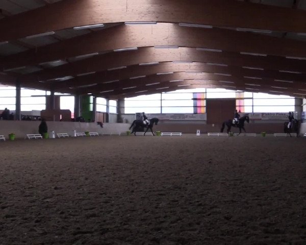 Reitturnier Altenberge 2016