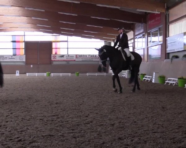 Reitturnier Altenberge 2016