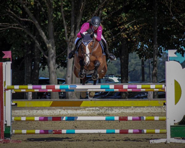 broodmare Evita F (Westphalian, 2012, from Eminem J)