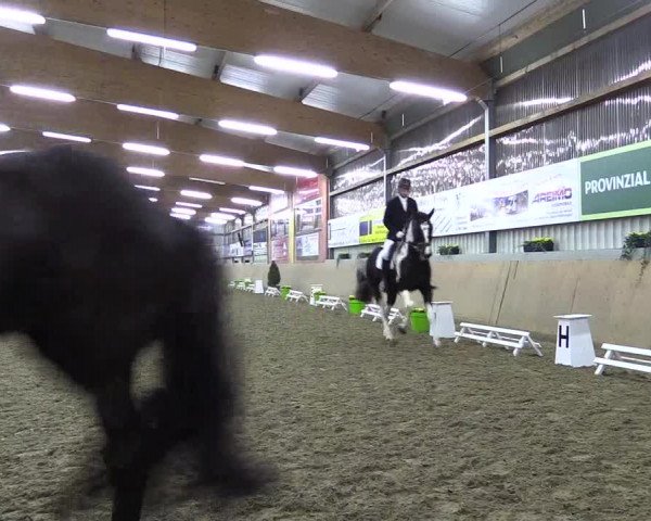 Reitturnier Altenberge 2016