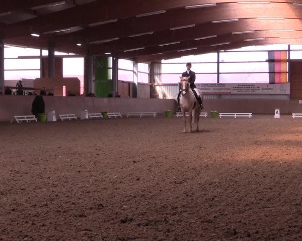 Reitturnier Altenberge 2016