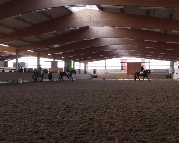 Reitturnier Altenberge 2016