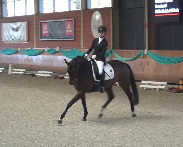 EQUIVA Dressur-Gala 2016