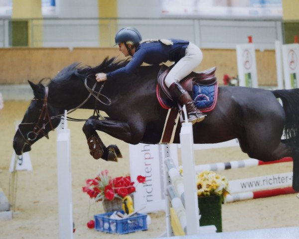 jumper Priceless 12 (Bavarian, 2013, from Thorgal de Kezeg)