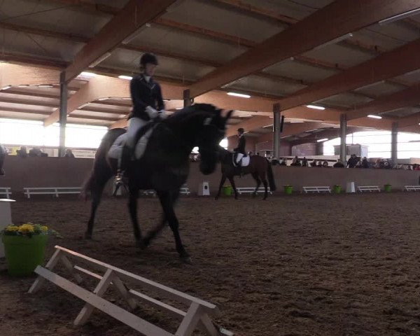 Reitturnier Altenberge 2016
