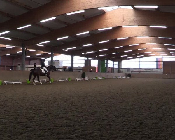Reitturnier Altenberge 2016
