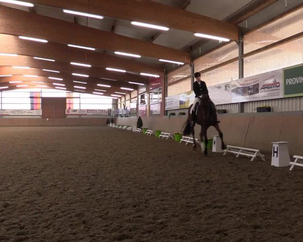 Reitturnier Altenberge 2016
