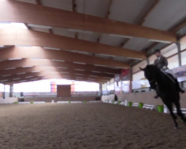 Reitturnier Altenberge 2016