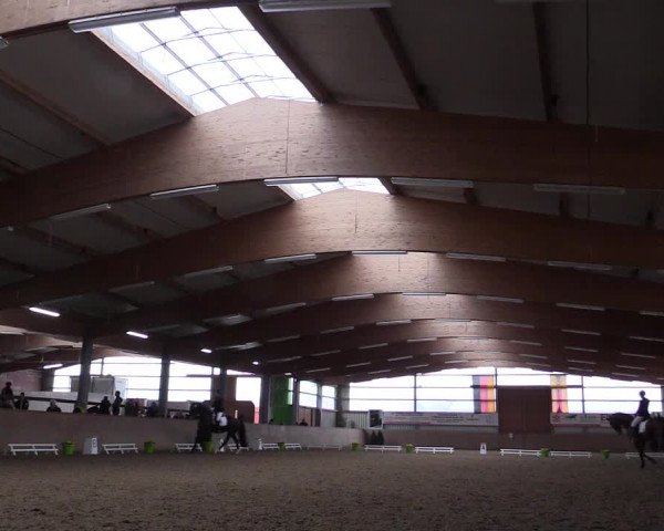 Reitturnier Altenberge 2016