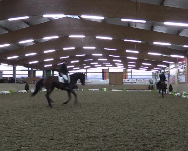 Reitturnier Altenberge 2016