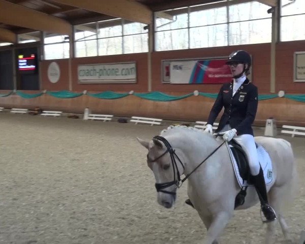 EQUIVA Dressur-Gala 2016