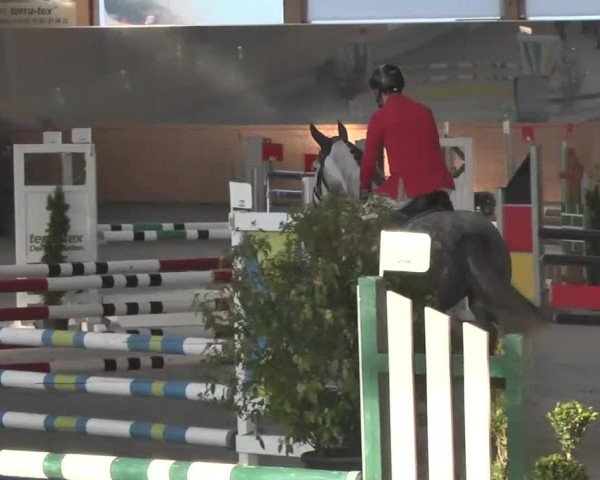 Reitturnier Illertissen 2016