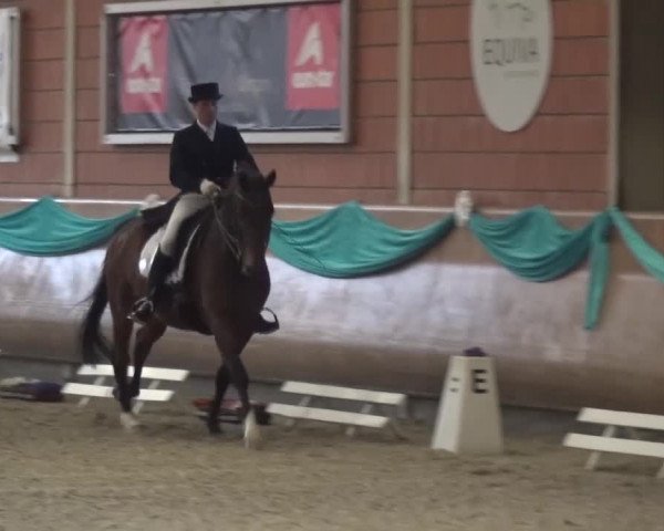 EQUIVA Dressur-Gala 2016