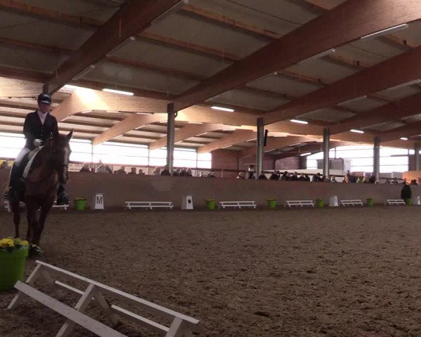 Reitturnier Altenberge 2016