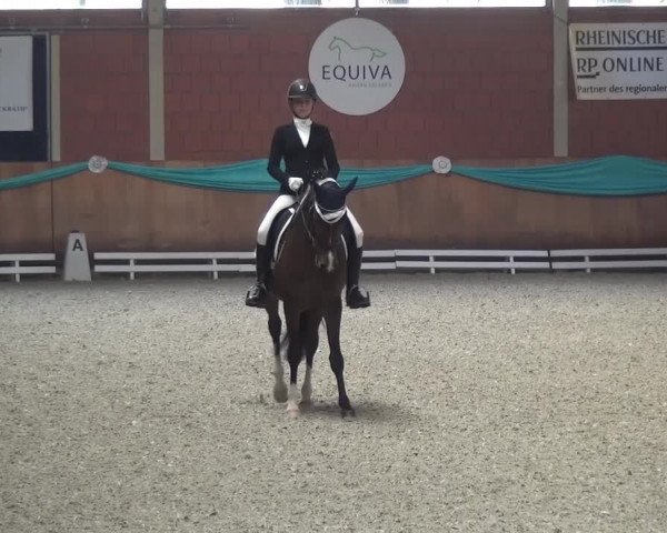 EQUIVA Dressur-Gala 2016