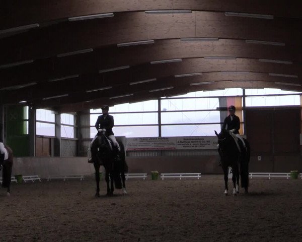 Reitturnier Altenberge 2016