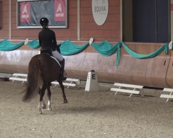 EQUIVA Dressur-Gala 2016