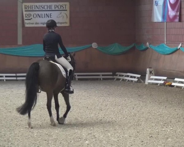 EQUIVA Dressur-Gala 2016