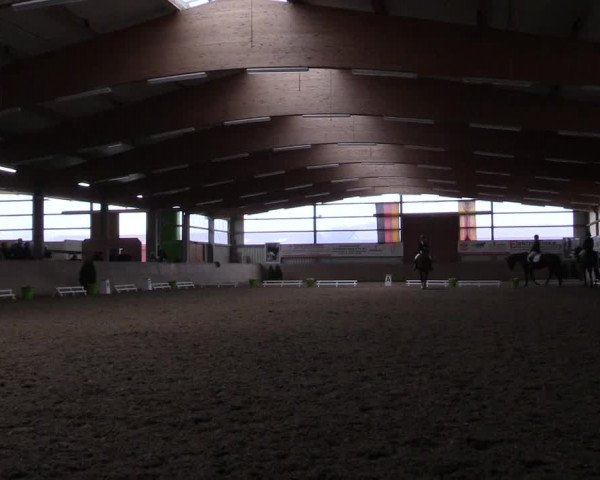 Reitturnier Altenberge 2016