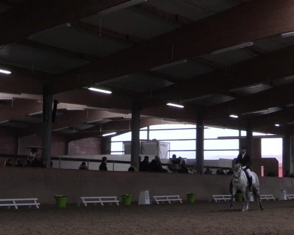 Reitturnier Altenberge 2016