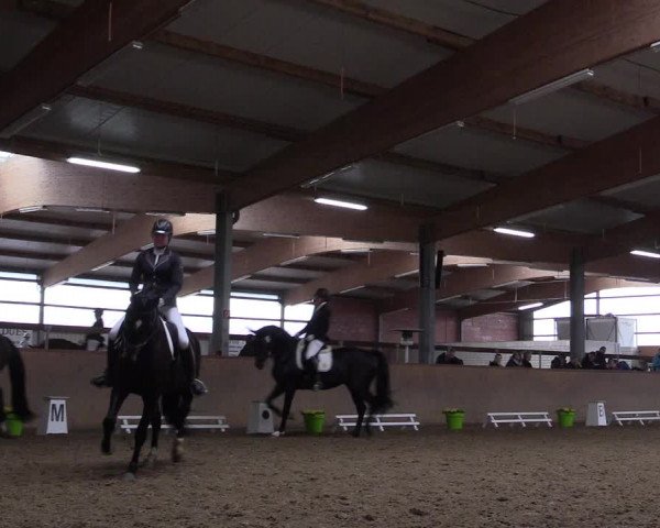 Reitturnier Altenberge 2016