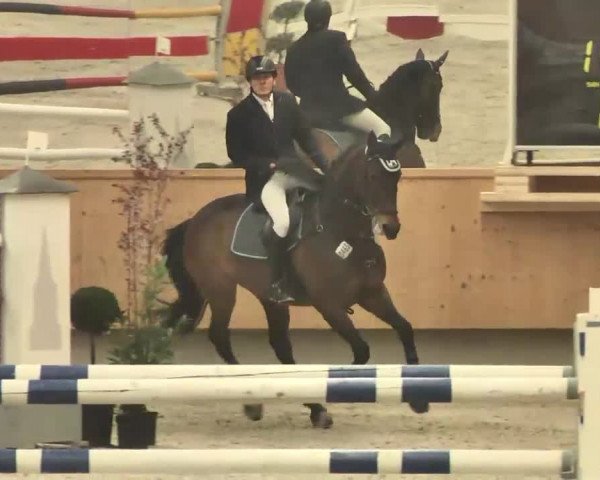 Reitturnier Illertissen 2016
