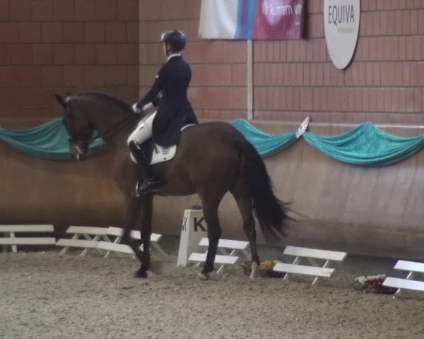 EQUIVA Dressur-Gala 2016