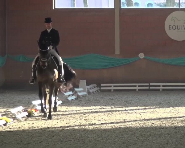 EQUIVA Dressur-Gala 2016