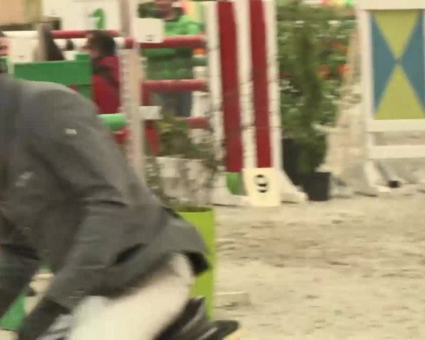 Reitturnier Illertissen 2016