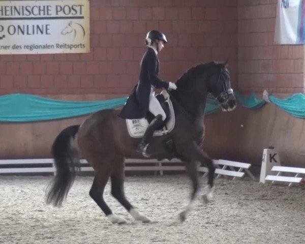 EQUIVA Dressur-Gala 2016