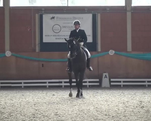 EQUIVA Dressur-Gala 2016