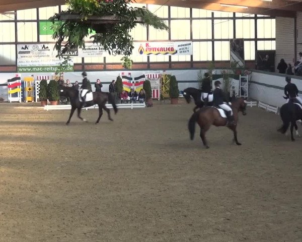 Reitturnier Monheim - Gut Blee 2016