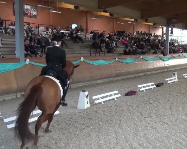 EQUIVA Dressur-Gala 2016