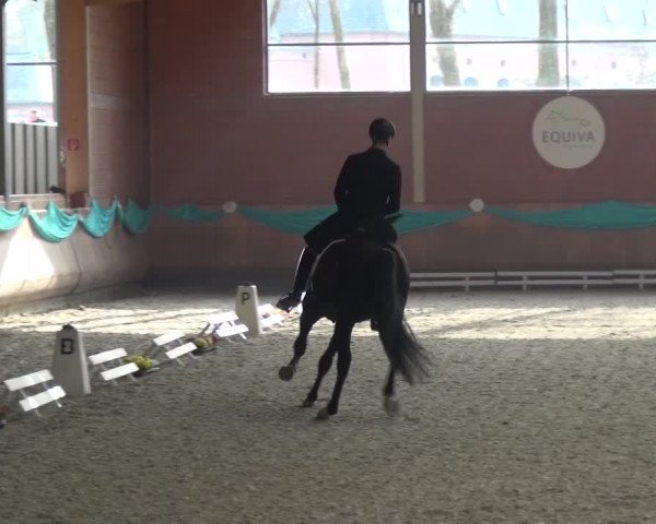 EQUIVA Dressur-Gala 2016