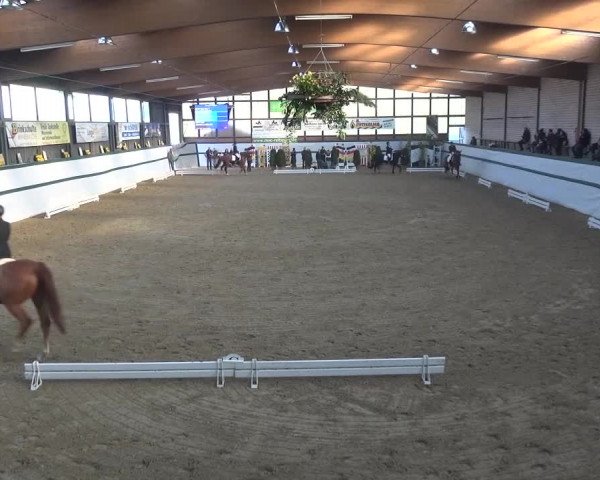 Reitturnier Monheim - Gut Blee 2016
