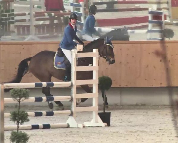 Reitturnier Illertissen 2016
