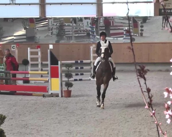 Reitturnier Illertissen 2016