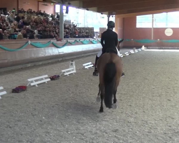 EQUIVA Dressur-Gala 2016