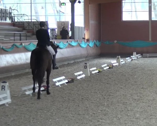 EQUIVA Dressur-Gala 2016
