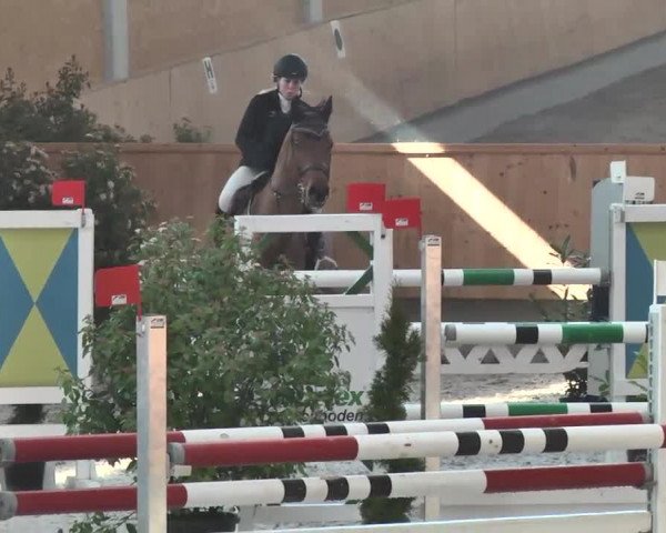 Reitturnier Illertissen 2016