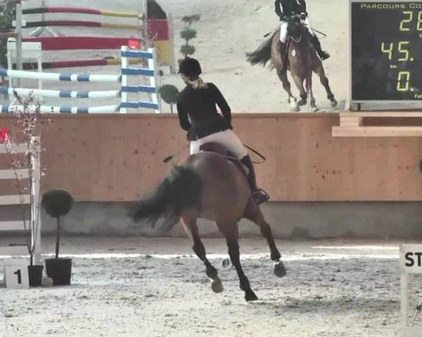 Reitturnier Illertissen 2016