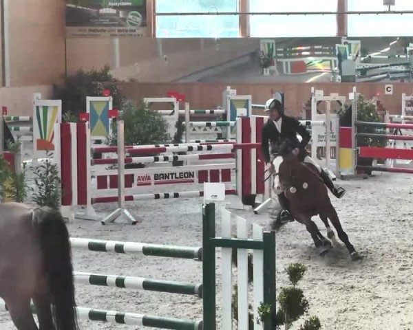 Reitturnier Illertissen 2016