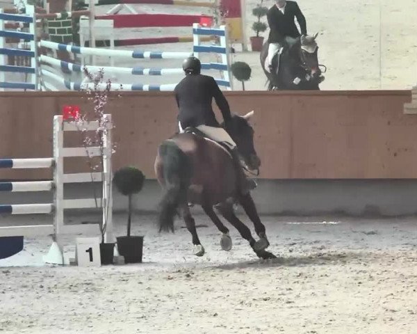 Reitturnier Illertissen 2016