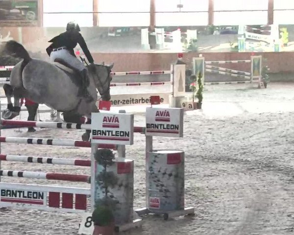 Reitturnier Illertissen 2016
