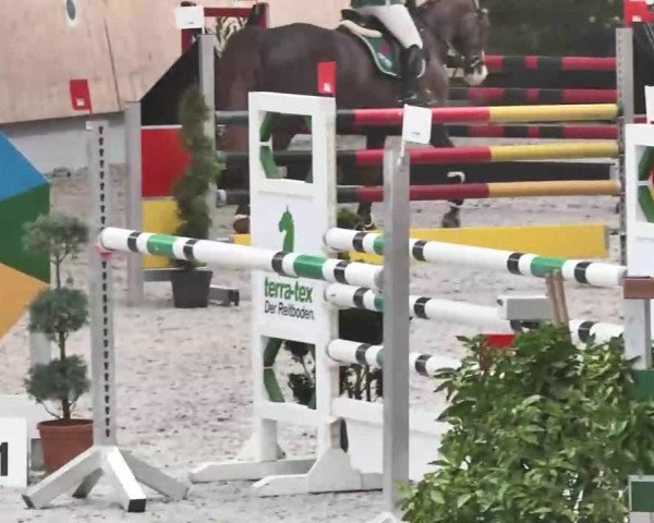 Reitturnier Illertissen 2016