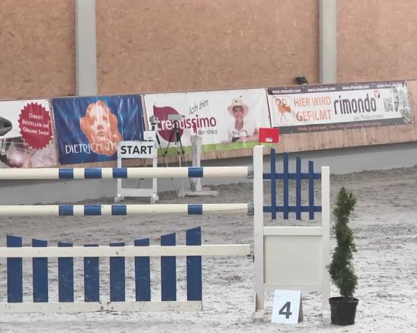 Reitturnier Illertissen 2016