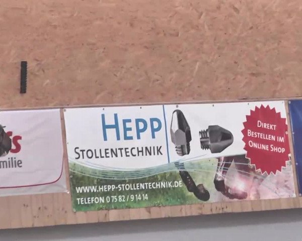 Reitturnier Illertissen 2016