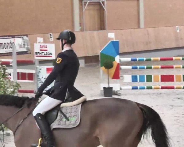 Reitturnier Illertissen 2016