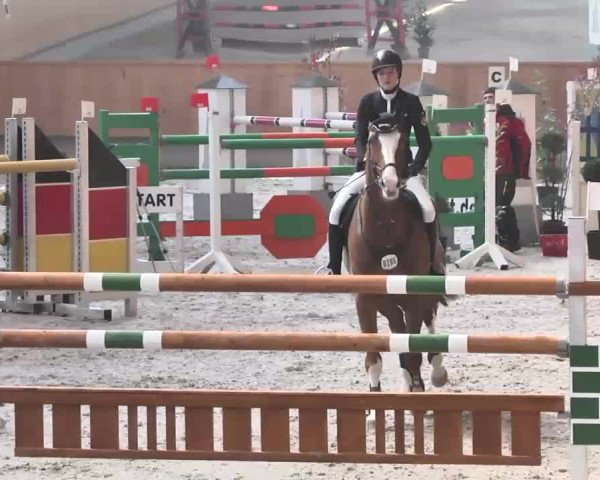 Reitturnier Illertissen 2016