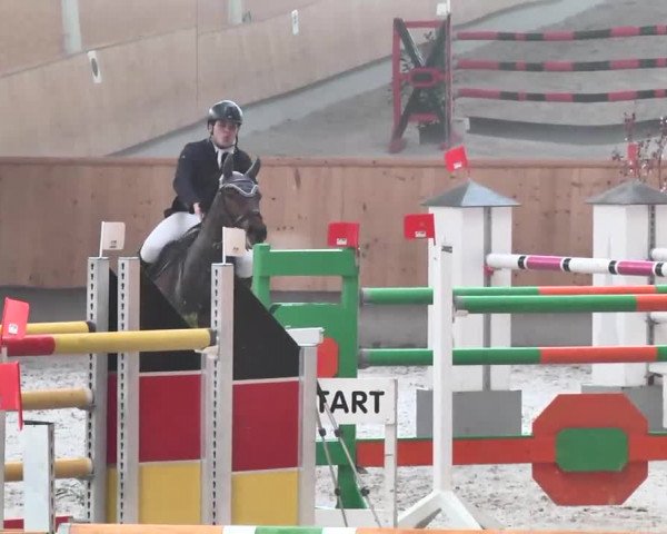 Reitturnier Illertissen 2016